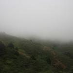 IMG_2506.JPG