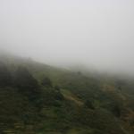 IMG_2507.JPG