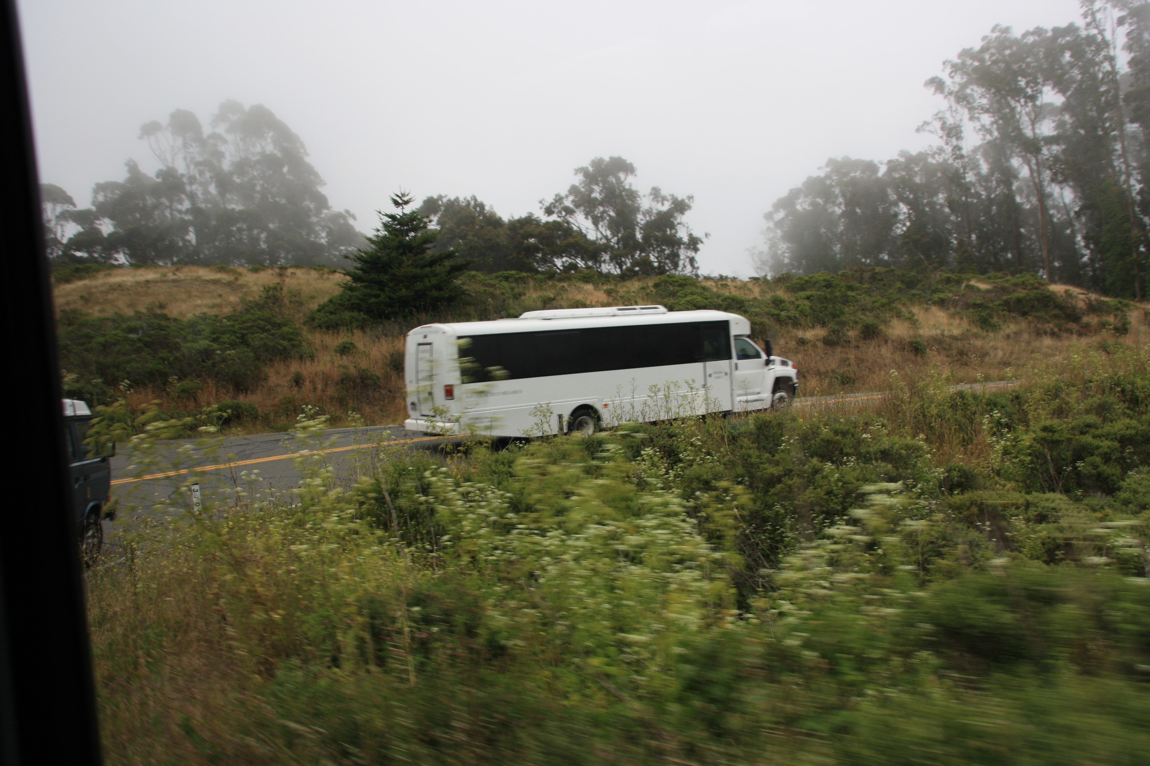 IMG_2508.JPG