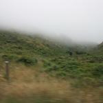 IMG_2509.JPG