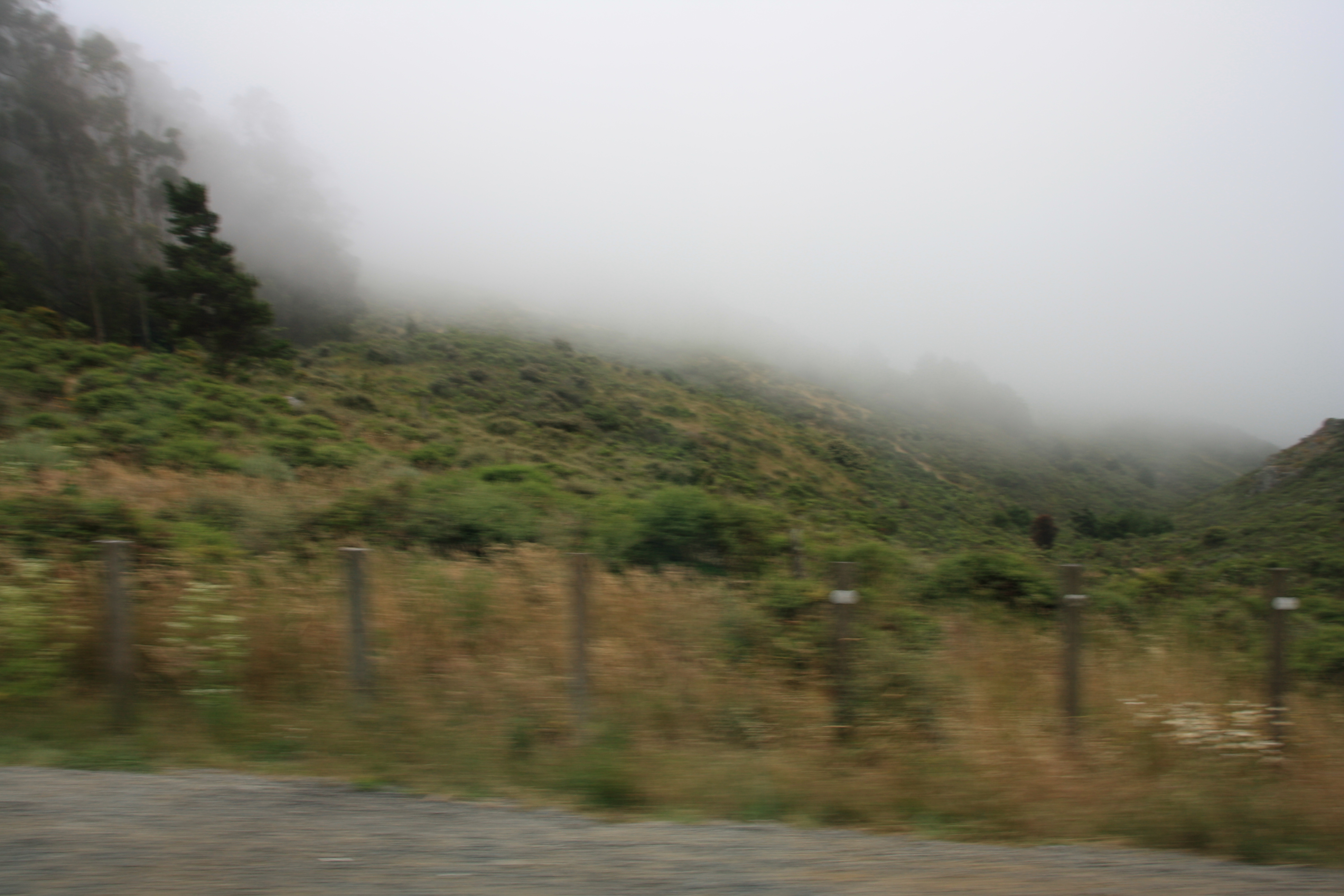 IMG_2510.JPG