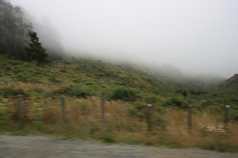 IMG_2510.JPG
