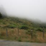 IMG_2510.JPG