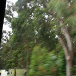 IMG_2511.JPG