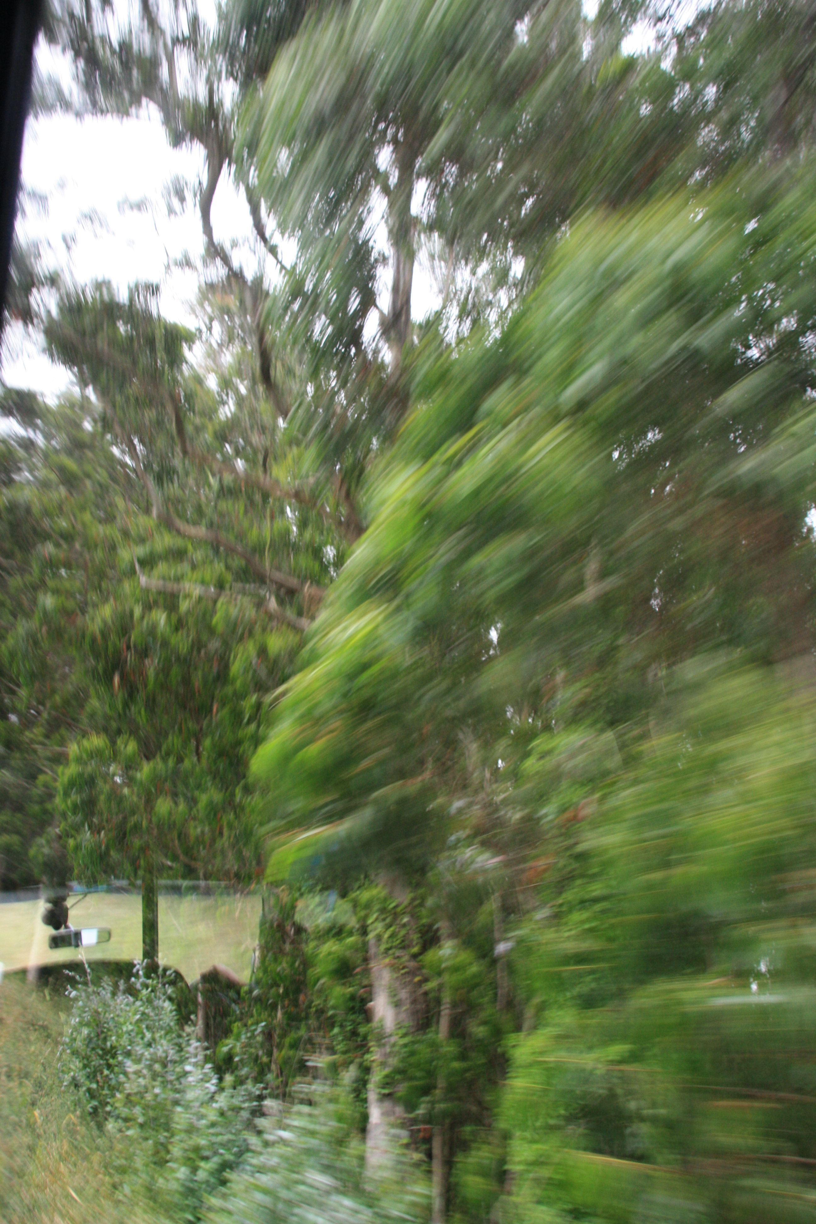 IMG_2512.JPG