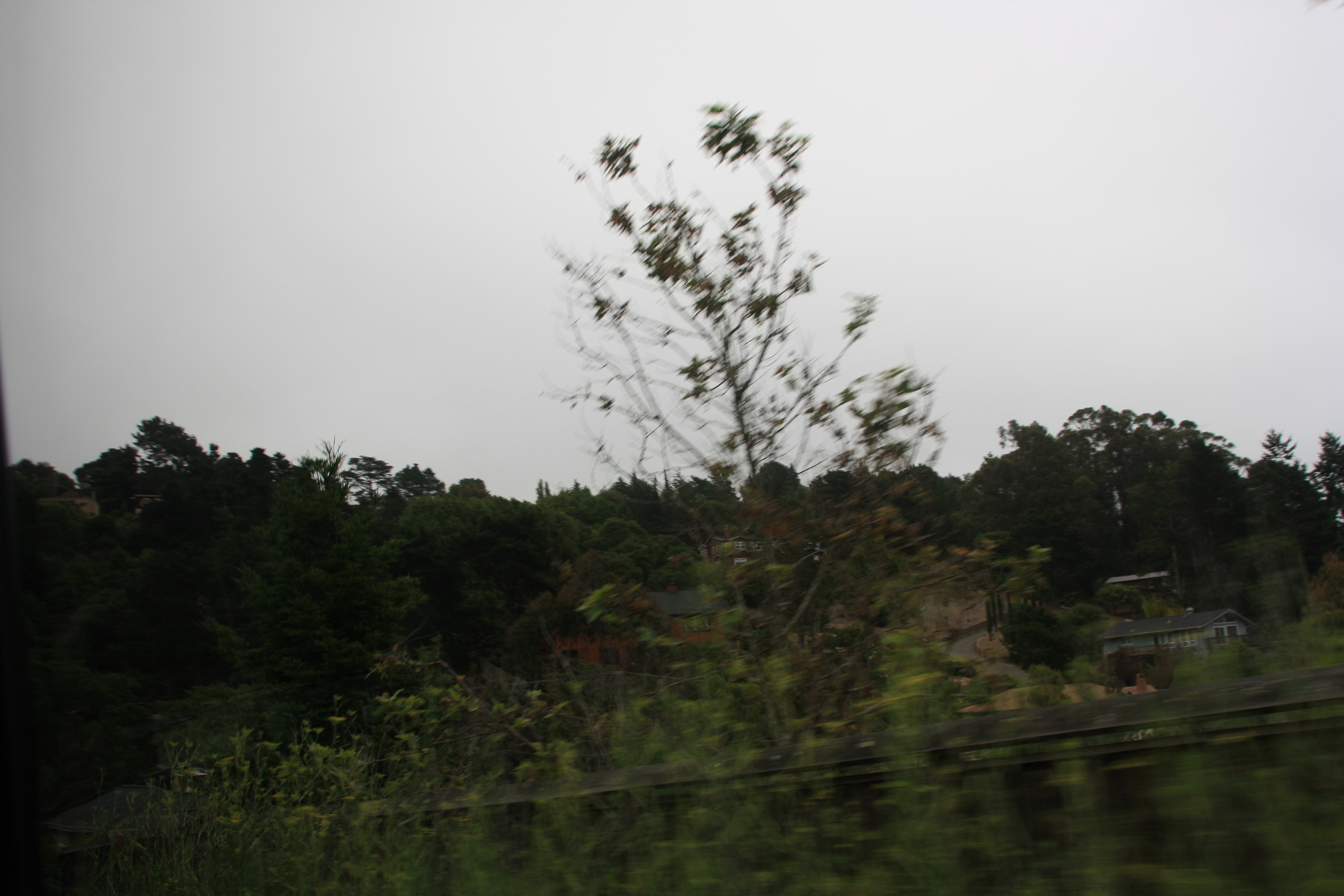 IMG_2516.JPG
