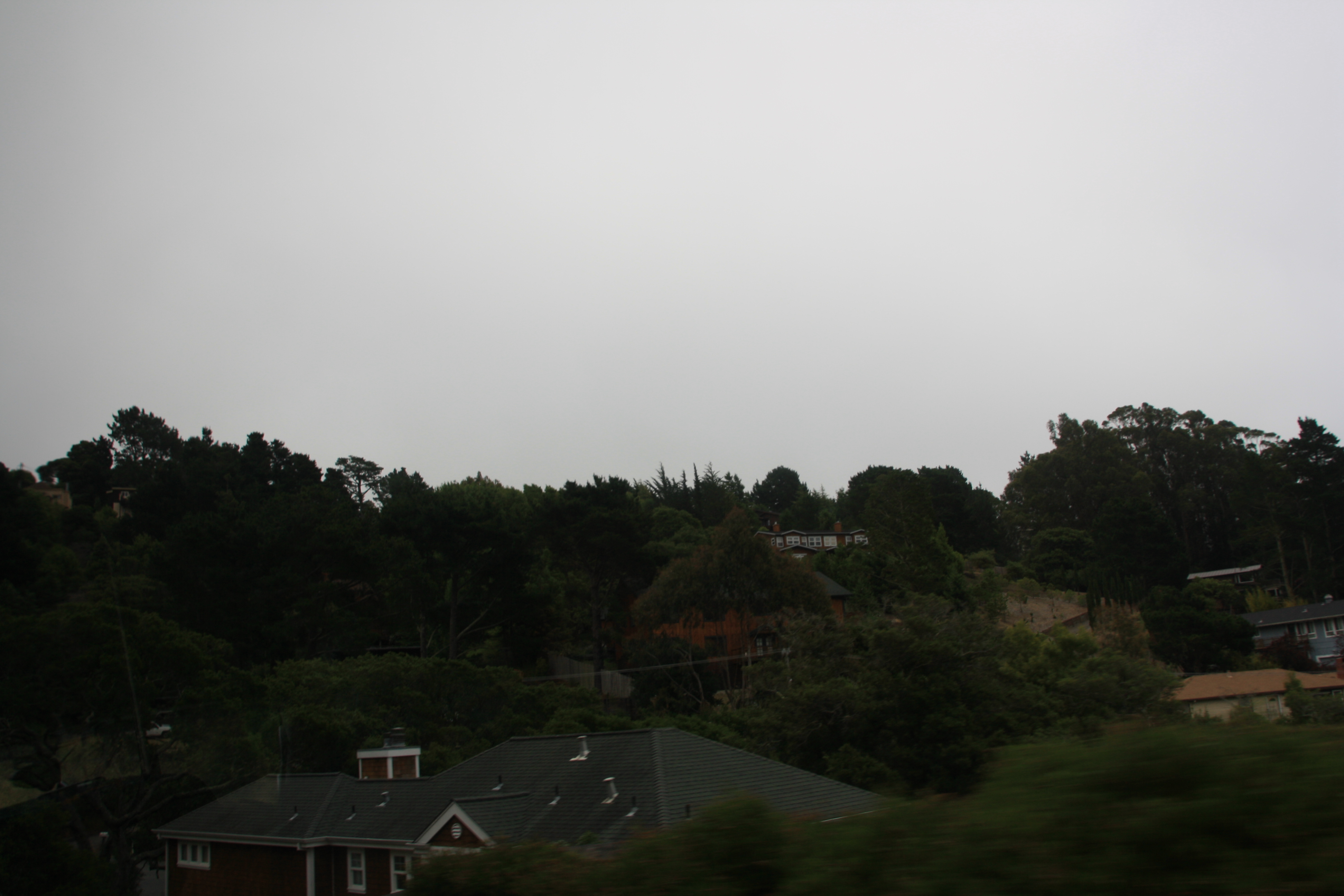 IMG_2517.JPG