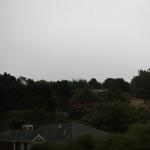 IMG_2517.JPG