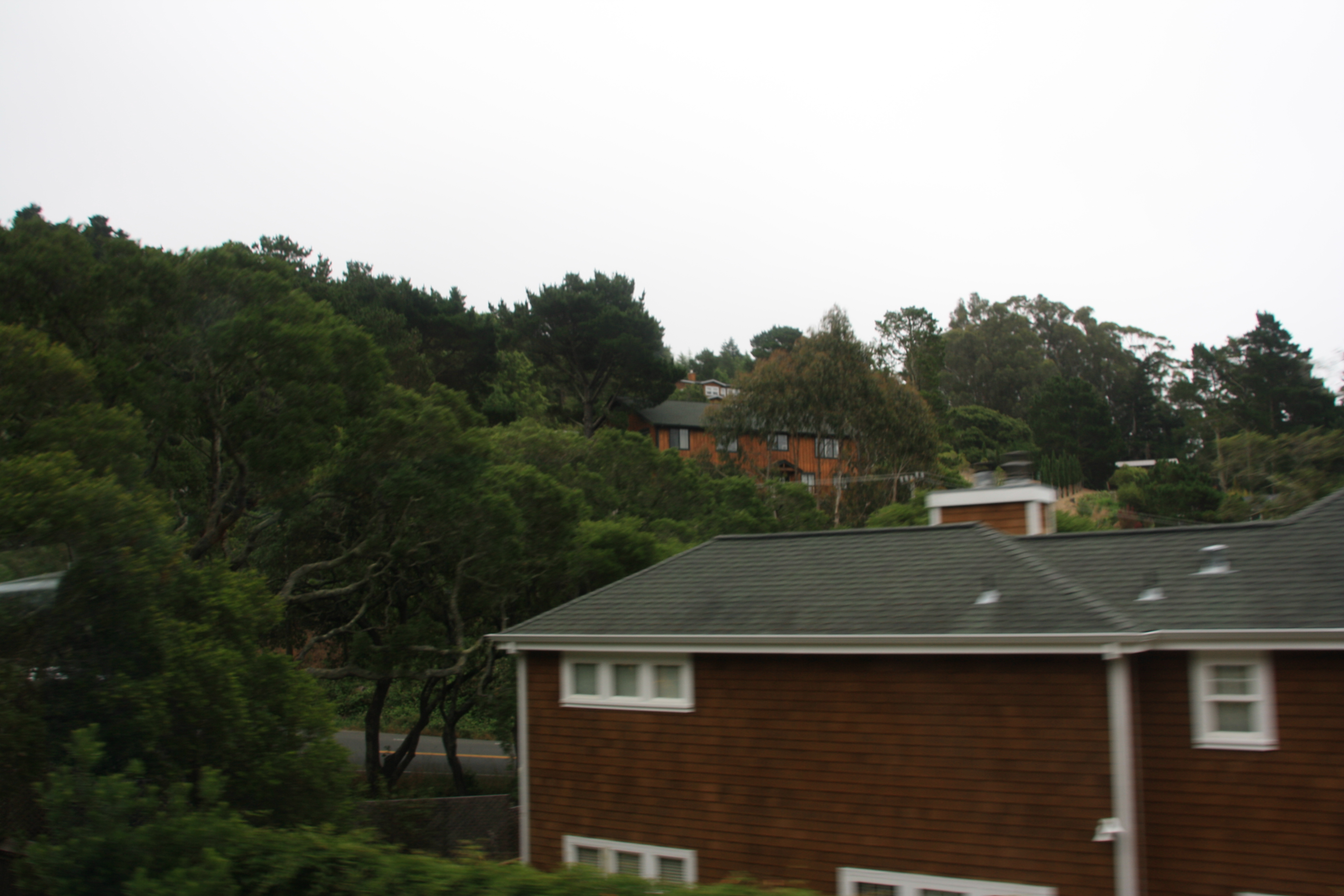 IMG_2518.JPG