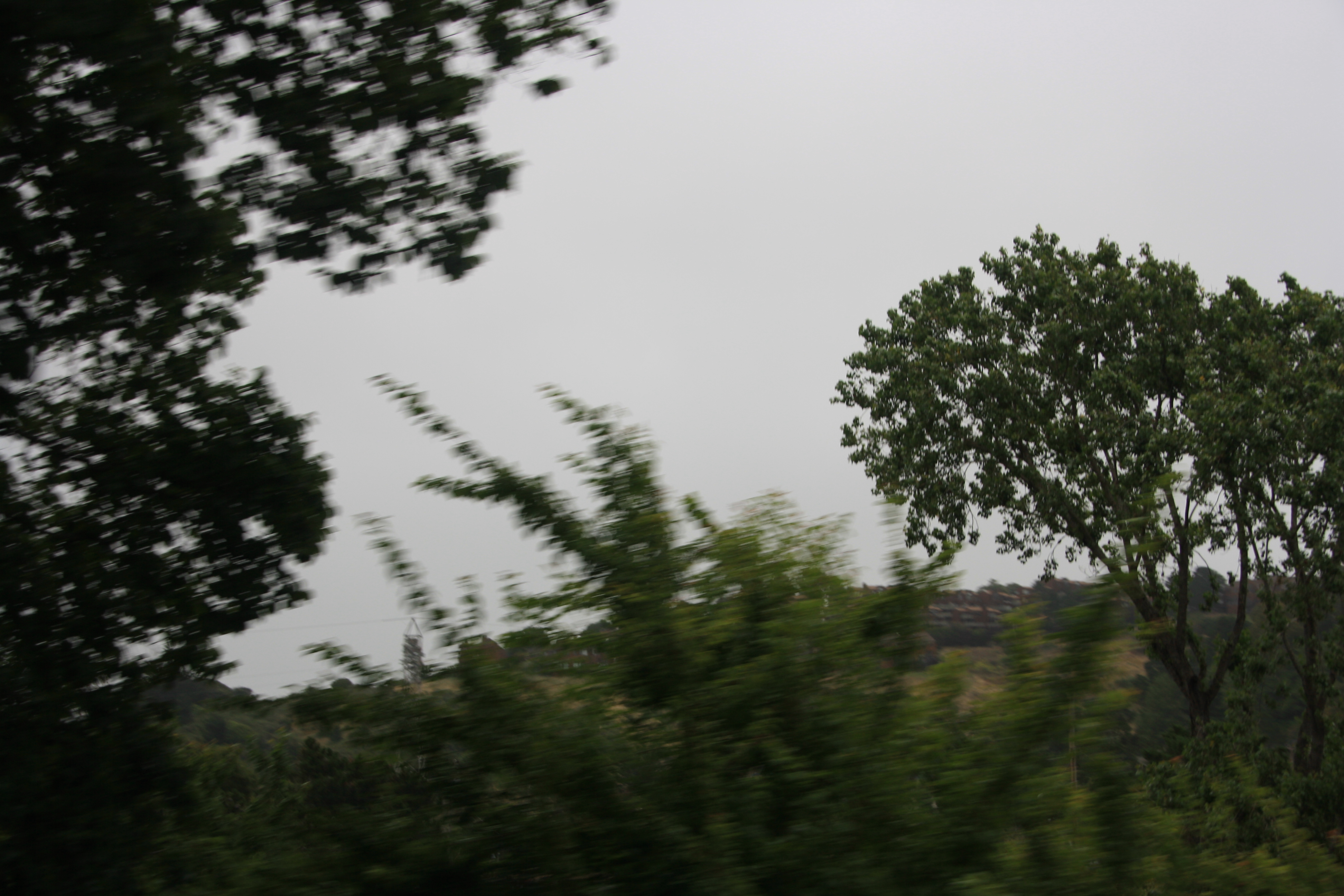 IMG_2519.JPG