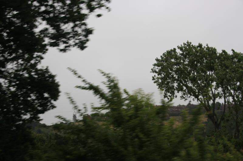 IMG_2519.JPG