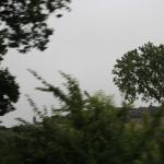 IMG_2519.JPG