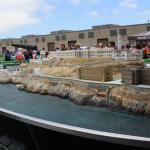 2011. 07. 08. - Alcatraz