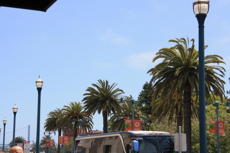IMG_2553.JPG