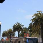 IMG_2553.JPG