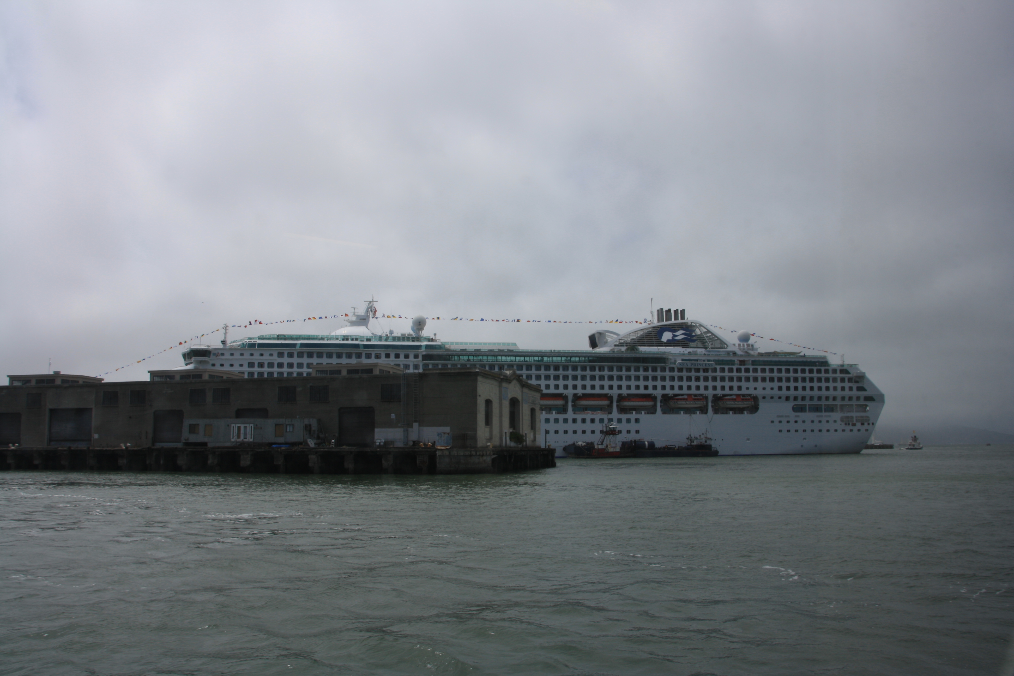IMG_2574.JPG