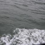 IMG_2581.JPG