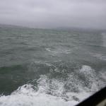 IMG_2585.JPG