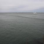 IMG_2597.JPG