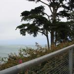IMG_2624.JPG