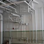 IMG_2633.JPG