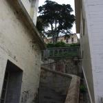 IMG_2748.JPG