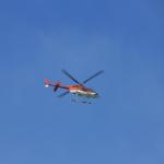 IMG_2765.JPG