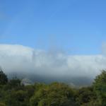 IMG_2801.JPG