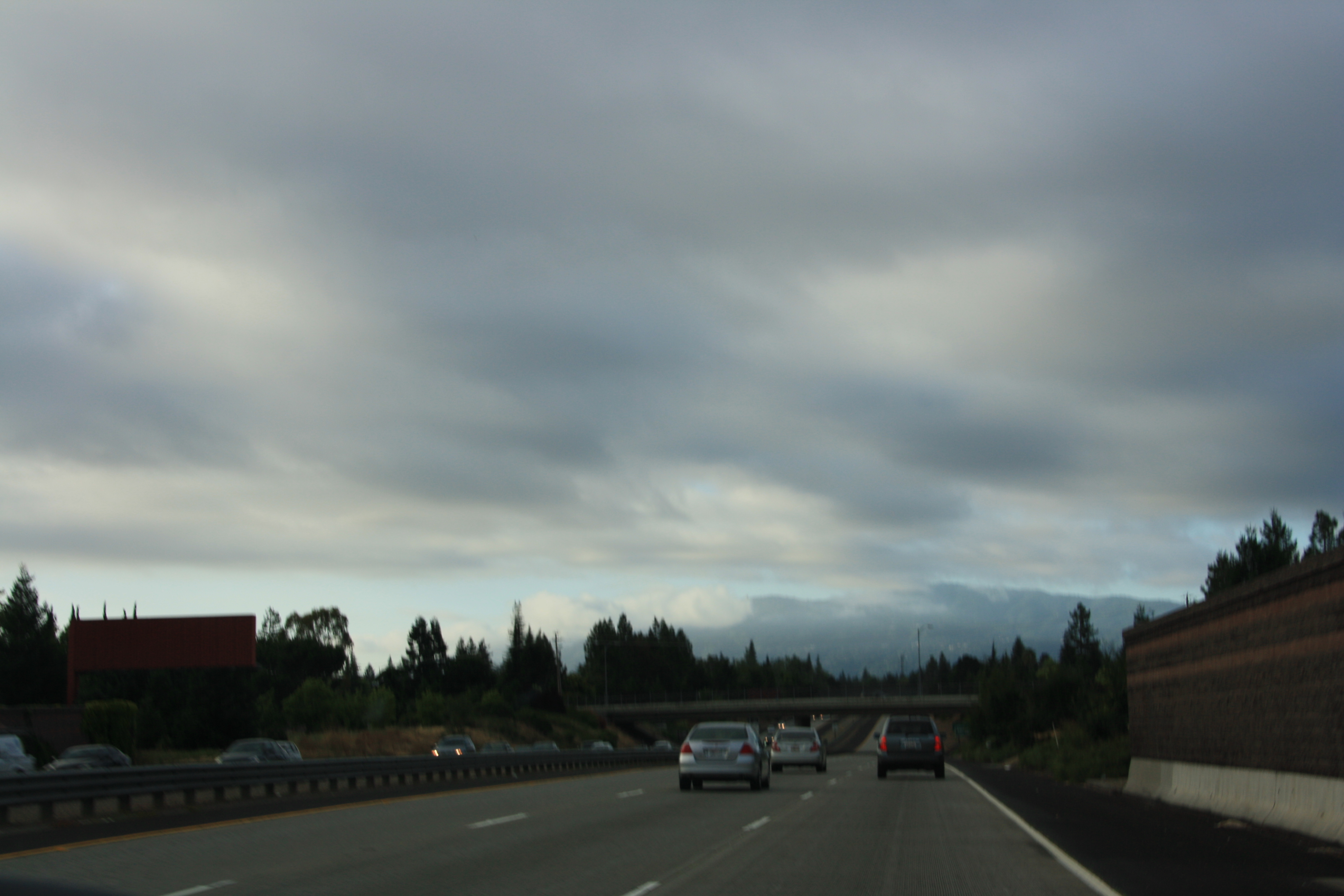 IMG_2835.JPG