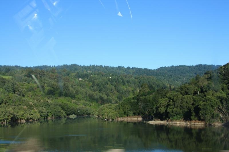 IMG_2845.JPG