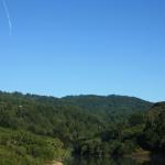 IMG_2847.JPG
