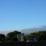 IMG_2849.JPG