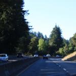 IMG_2850.JPG