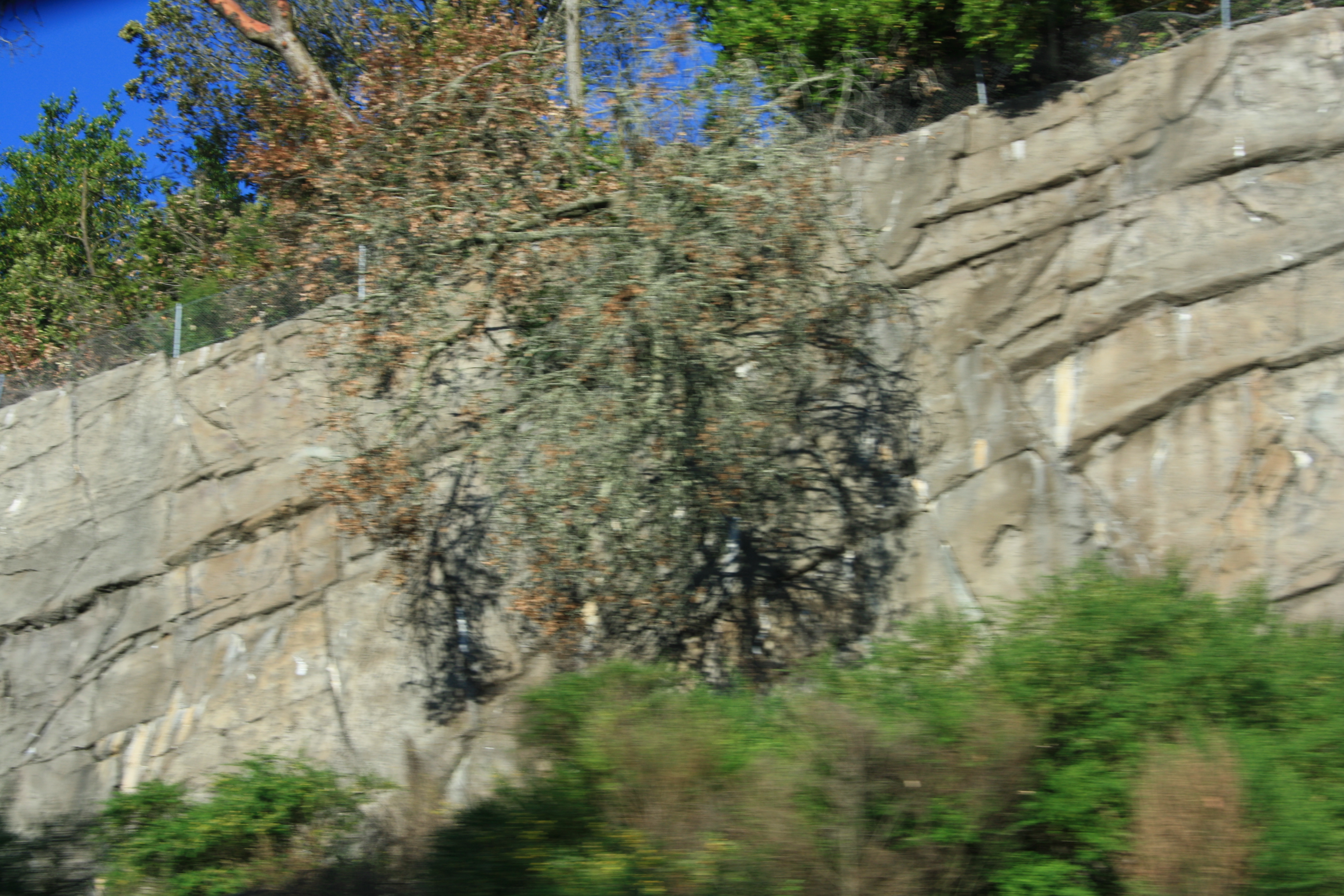 IMG_2851.JPG
