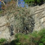 IMG_2851.JPG