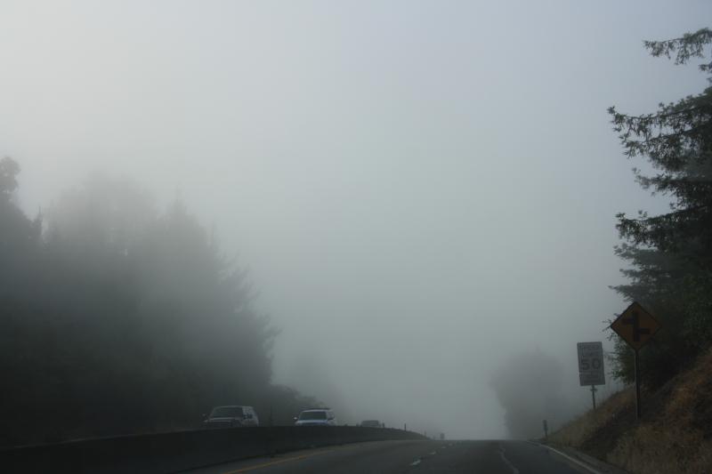 IMG_2854.JPG