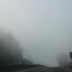 IMG_2854.JPG