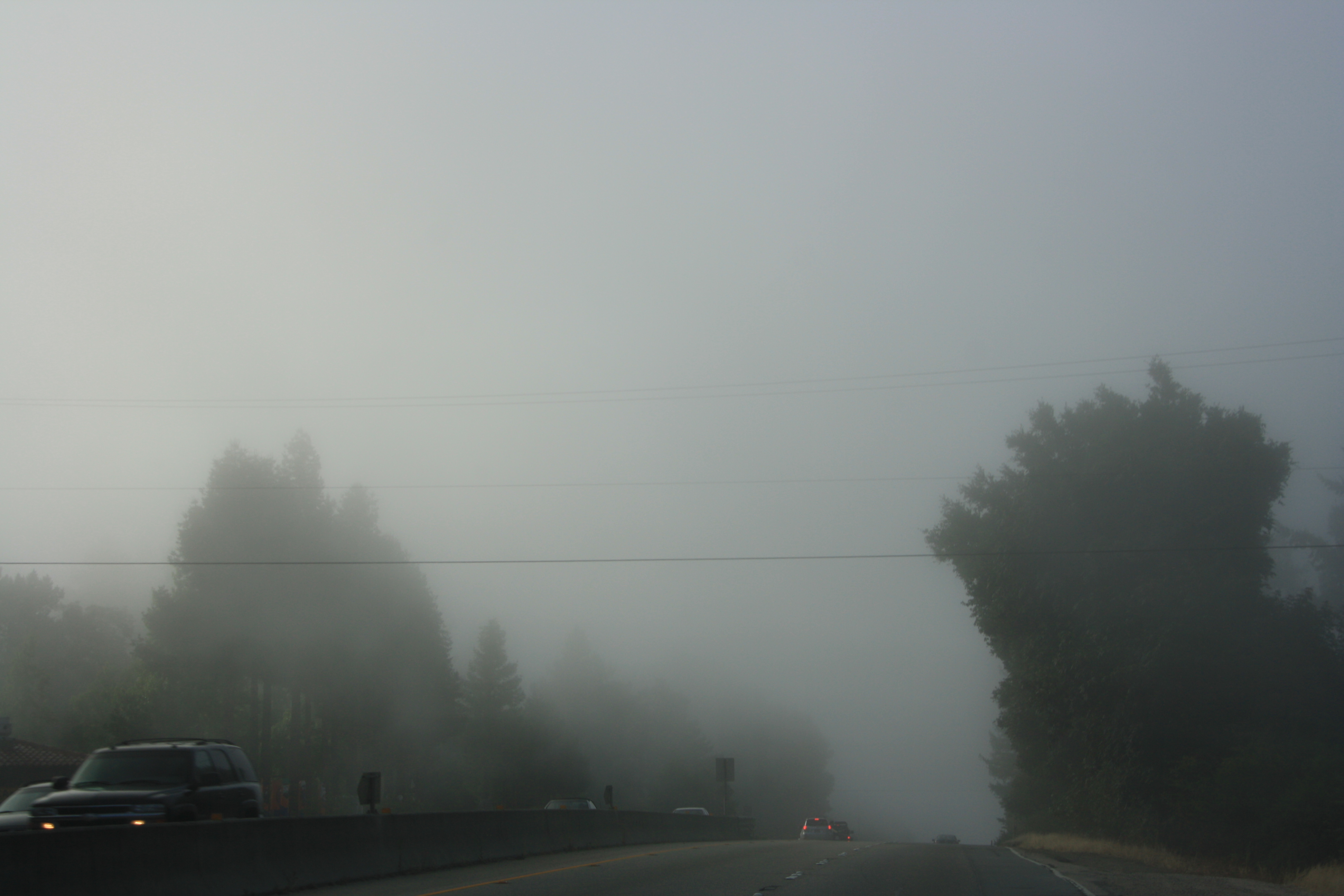IMG_2855.JPG