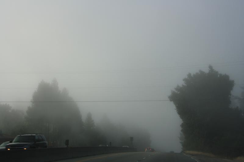 IMG_2855.JPG