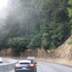 IMG_2856.JPG