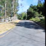 IMG_2868.JPG