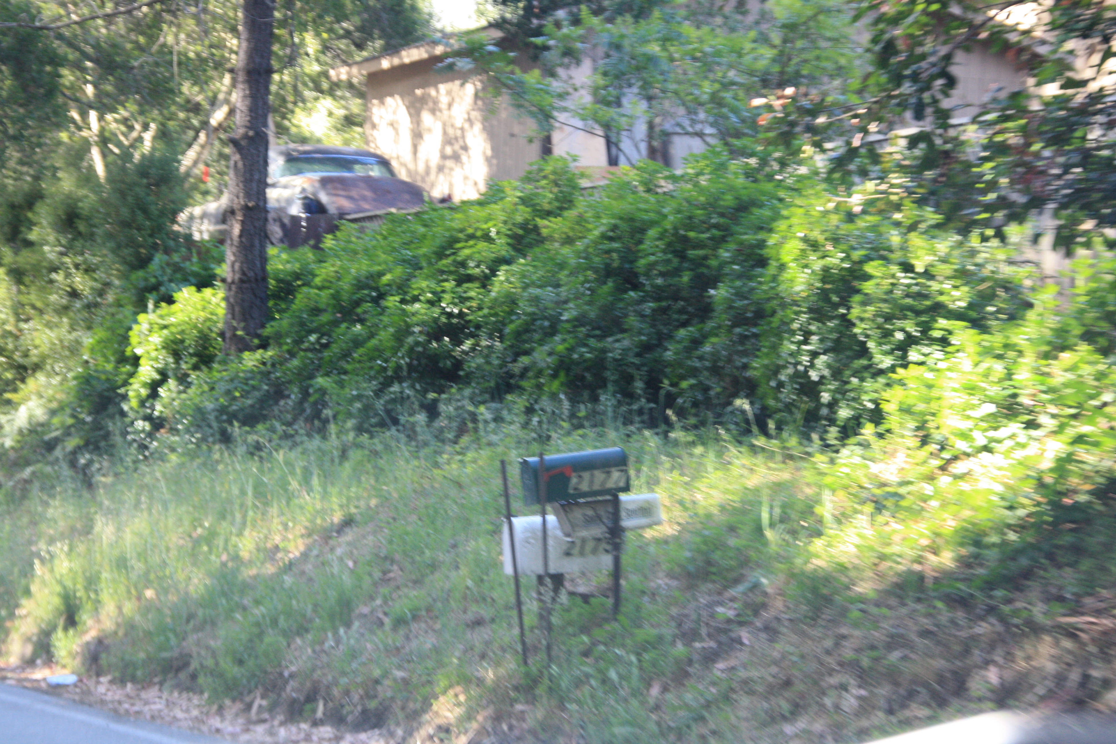 IMG_2869.JPG