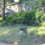 IMG_2869.JPG