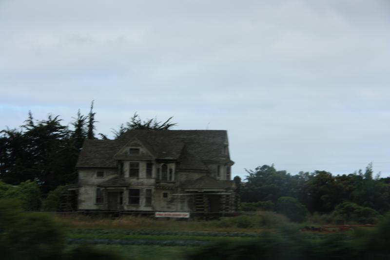 IMG_2875.JPG