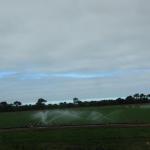 IMG_2881.JPG