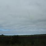 IMG_2884.JPG