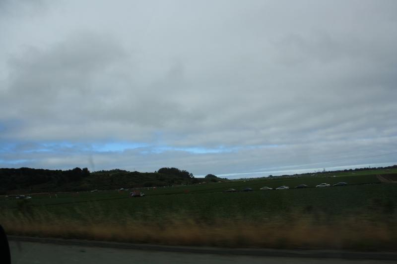 IMG_2886.JPG