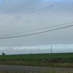IMG_2888.JPG
