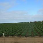 IMG_2895.JPG