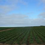 IMG_2896.JPG